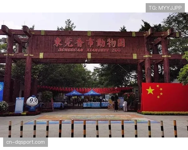 粤BA赛场展现莞韶协作之情，香市动物园推出球迷专属优惠政策